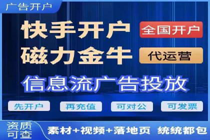 竞价广告的深度解析：以一知名品牌为例